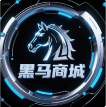 黑马商城